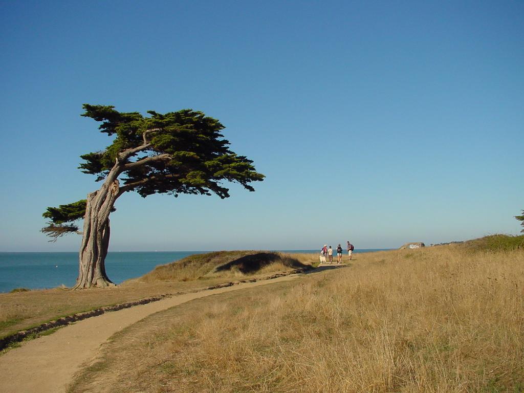 Beau Soleil Pornic